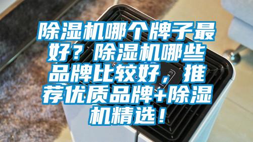 除濕機哪個牌子最好？除濕機哪些品牌比較好，推薦優質品牌+除濕機精選！