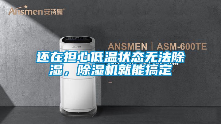 還在擔心低溫狀態無法除濕,除濕機就能搞定