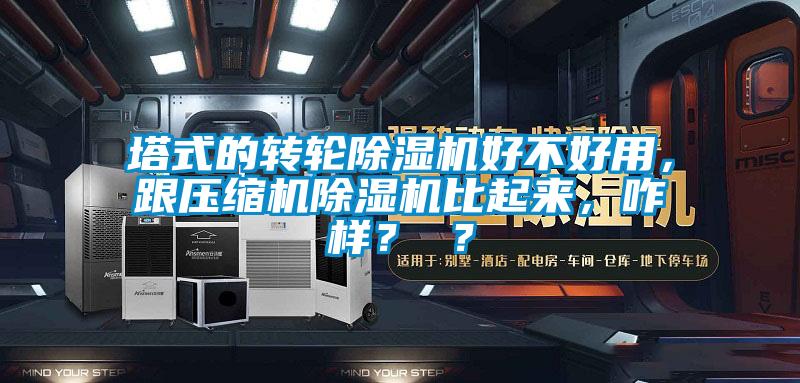 塔式的轉輪除濕機好不好用,跟壓縮機除濕機比起來,咋樣? ?