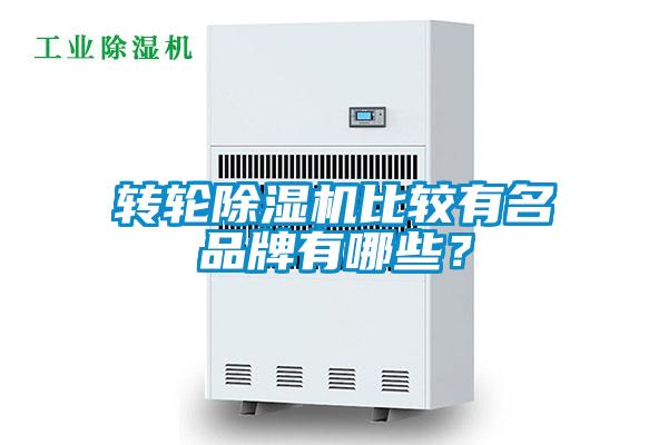 轉輪除濕機比較有名品牌有哪些?