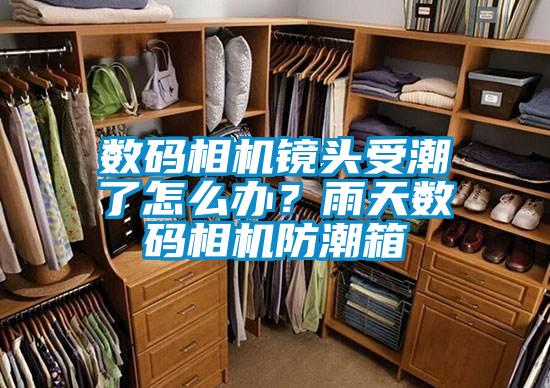 數(shù)碼相機(jī)鏡頭受潮了怎么辦?雨天數(shù)碼相機(jī)防潮箱