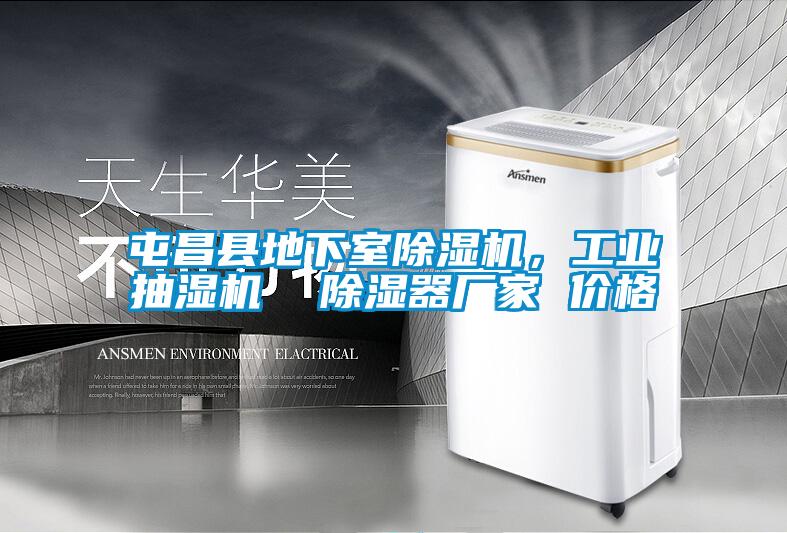 屯昌縣地下室除濕機(jī),工業(yè)抽濕機(jī) 除濕器廠家 價格
