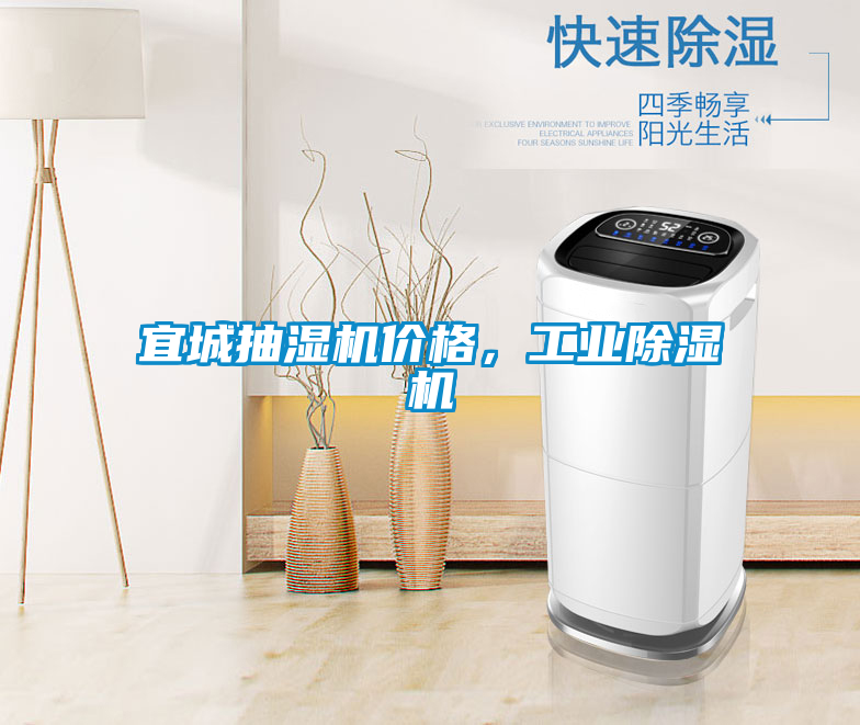 宜城抽濕機(jī)價(jià)格,工業(yè)除濕機(jī)