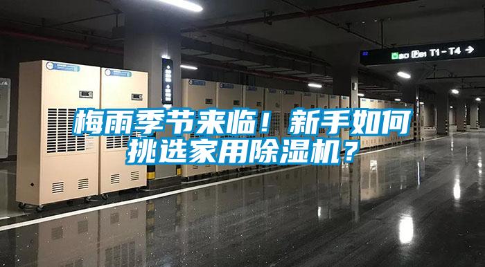 梅雨季節來臨！新手如何挑選家用除濕機？