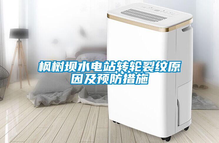 楓樹壩水電站轉(zhuǎn)輪裂紋原因及預防措施