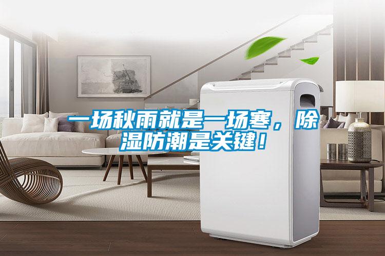 一場秋雨就是一場寒，除濕防潮是關鍵！