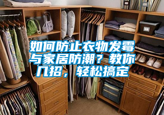 如何防止衣物發霉與家居防潮？教你幾招，輕松搞定
