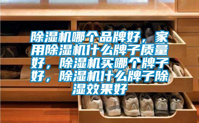 除濕機哪個品牌好，家用除濕機什么牌子質量好，除濕機買哪個牌子好，除濕機什么牌子除濕效果好