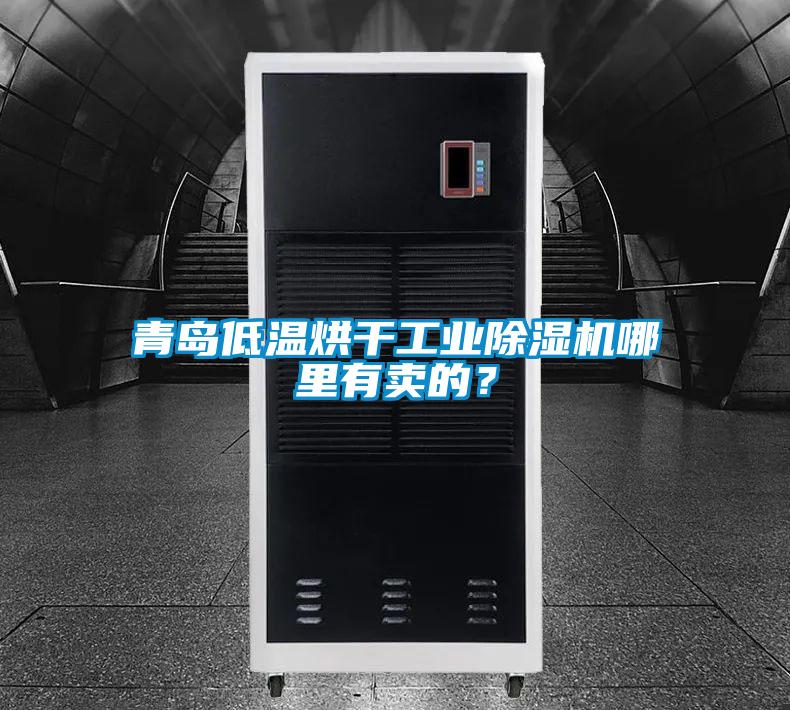 青島低溫烘干工業(yè)除濕機(jī)哪里有賣(mài)的?
