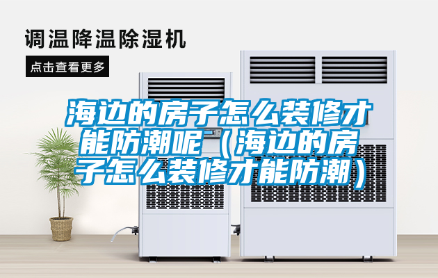 海邊的房子怎么裝修才能防潮呢(海邊的房子怎么裝修才能防潮)