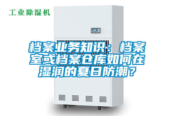 檔案業務知識：檔案室或檔案倉庫如何在濕潤的夏日防潮？