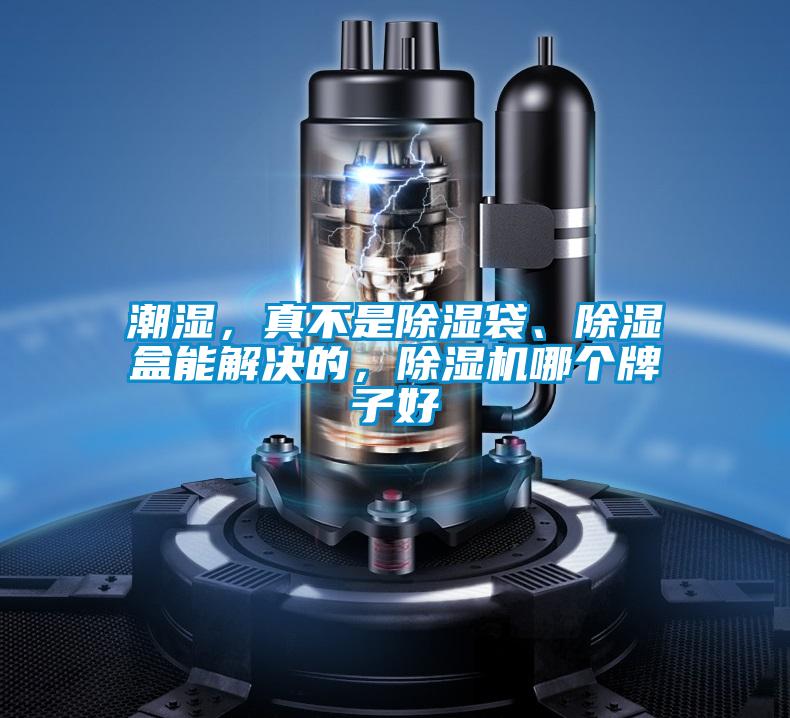 潮濕,真不是除濕袋、除濕盒能解決的,除濕機(jī)哪個(gè)牌子好