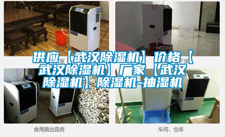 供應(yīng)【武漢除濕機】價格【武漢除濕機】廠家【武漢除濕機】除濕機-抽濕機