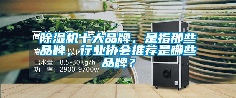 除濕機十大品牌,是指那些品牌,行業協會推薦是哪些品牌?