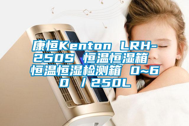 康恒Kenton LRH-250S 恒溫恒濕箱 恒溫恒濕檢測(cè)箱 0~60℃/250L