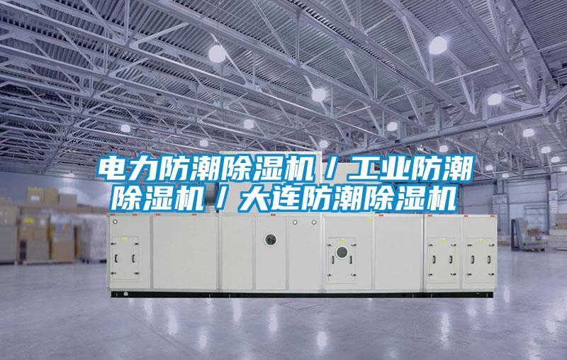 電力防潮除濕機/工業(yè)防潮除濕機/大連防潮除濕機