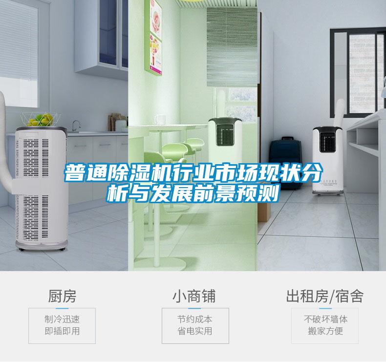 普通除濕機行業(yè)市場現(xiàn)狀分析與發(fā)展前景預測