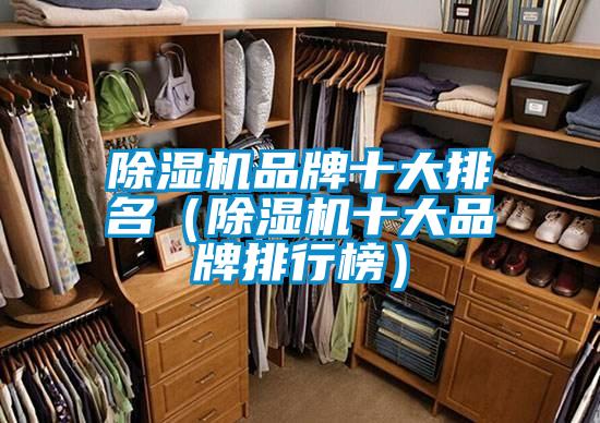 除濕機(jī)品牌十大排名(除濕機(jī)十大品牌排行榜)