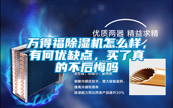 萬得福除濕機怎么樣，有何優缺點，買了真的不后悔嗎