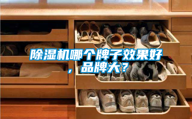 除濕機哪個牌子效果好，品牌大？