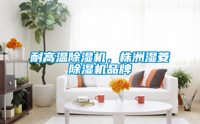 耐高溫除濕機(jī),株洲濕菱除濕機(jī)品牌