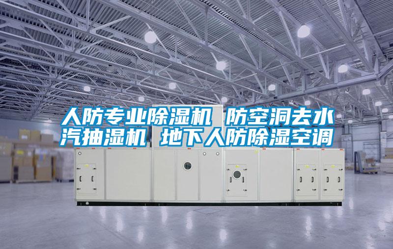 人防專業(yè)除濕機 防空洞去水汽抽濕機 地下人防除濕空調