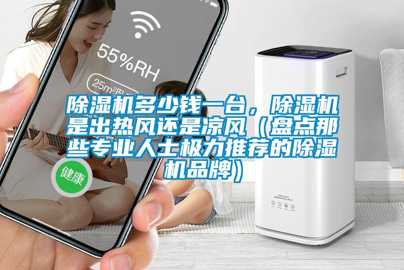除濕機(jī)多少錢一臺(tái),除濕機(jī)是出熱風(fēng)還是涼風(fēng)(盤(pán)點(diǎn)那些專業(yè)人士極力推薦的除濕機(jī)品牌)