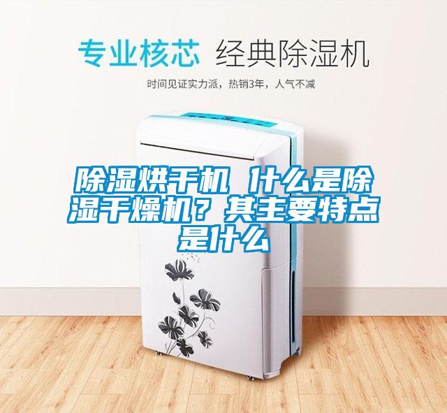 除濕烘干機 什么是除濕干燥機?其主要特點是什么