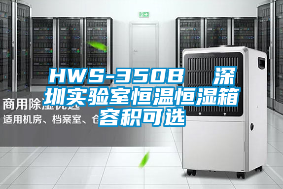 HWS-350B 深圳實驗室恒溫恒濕箱容積可選