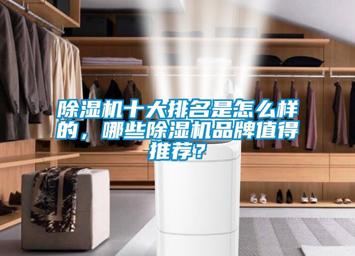 除濕機十大排名是怎么樣的,哪些除濕機品牌值得推薦?