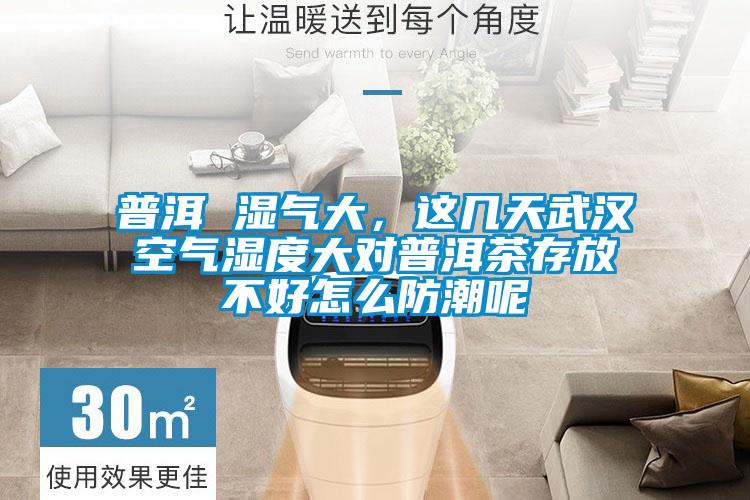 普洱 濕氣大，這幾天武漢空氣濕度大對(duì)普洱茶存放不好怎么防潮呢