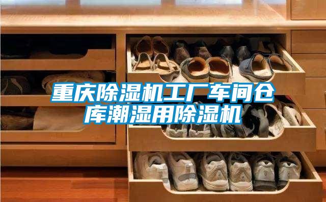 重慶除濕機(jī)工廠車(chē)間倉(cāng)庫(kù)潮濕用除濕機(jī)