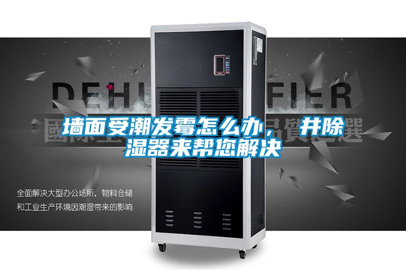 墻面受潮發霉怎么辦，東井除濕器來幫您解決