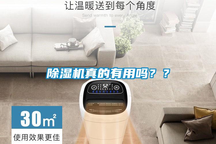 除濕機真的有用嗎？？