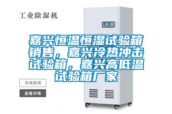 嘉興恒溫恒濕試驗(yàn)箱銷售,嘉興冷熱沖擊試驗(yàn)箱,嘉興高低溫試驗(yàn)箱廠家