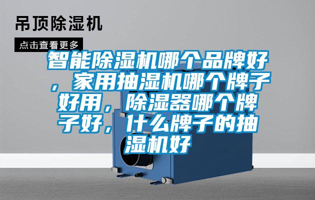 智能除濕機(jī)哪個(gè)品牌好，家用抽濕機(jī)哪個(gè)牌子好用，除濕器哪個(gè)牌子好，什么牌子的抽濕機(jī)好