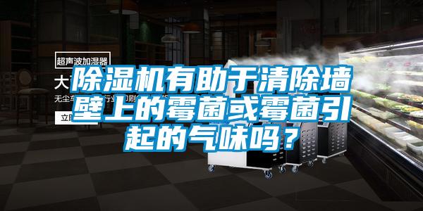 除濕機(jī)有助于清除墻壁上的霉菌或霉菌引起的氣味嗎?