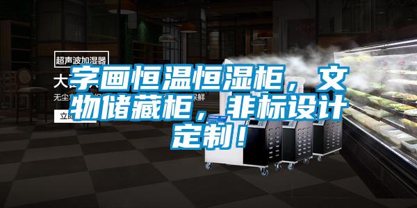 字畫恒溫恒濕柜，文物儲藏柜，非標(biāo)設(shè)計(jì)定制！