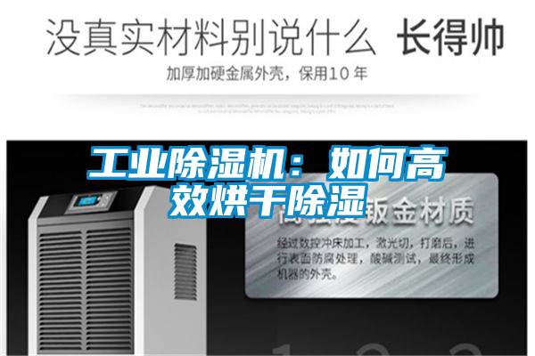 工業(yè)除濕機(jī):如何高效烘干除濕