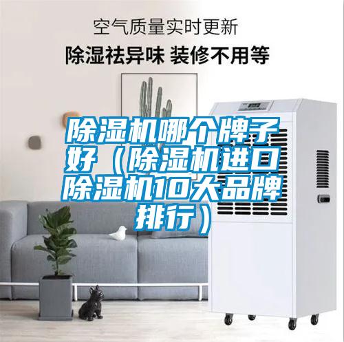 除濕機哪個牌子好（除濕機進(jìn)口除濕機10大品牌排行）