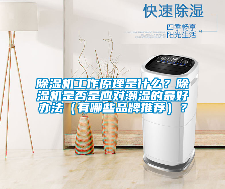 除濕機工作原理是什么？除濕機是否是應對潮濕的最好辦法（有哪些品牌推薦）？