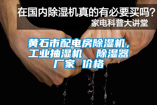 黃石市配電房除濕機(jī),工業(yè)抽濕機(jī) 除濕器廠家 價(jià)格