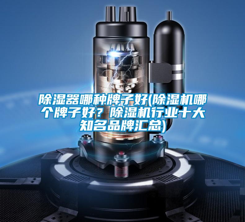 除濕器哪種牌子好(除濕機哪個牌子好？除濕機行業十大知名品牌匯總)