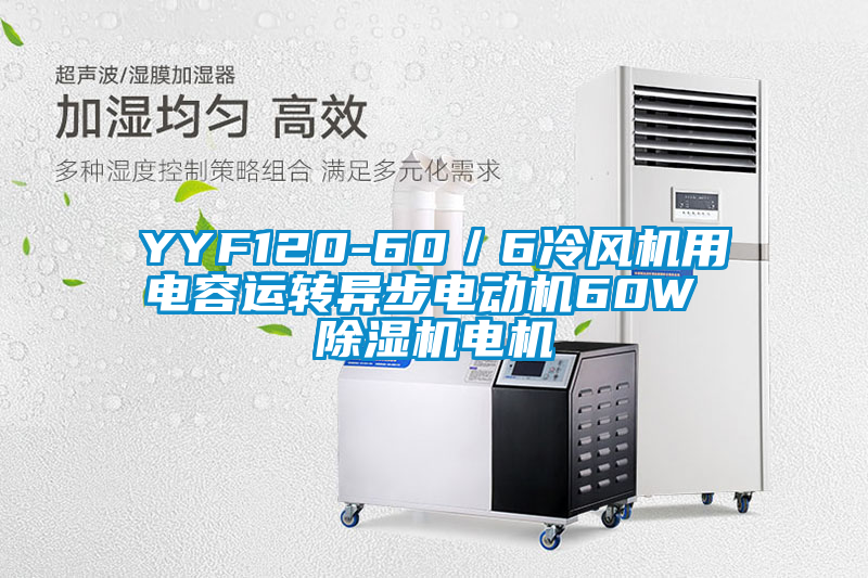 YYF120-60/6冷風機用電容運轉(zhuǎn)異步電動機60W 除濕機電機