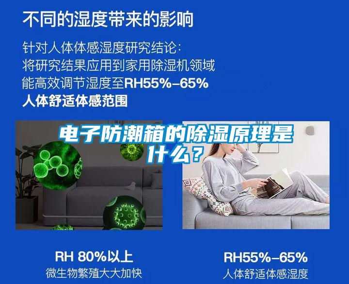 電子防潮箱的除濕原理是什么？