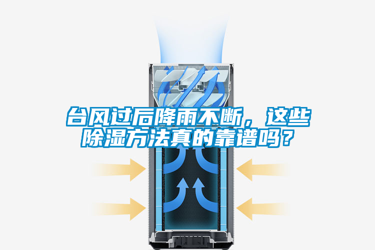 臺(tái)風(fēng)過后降雨不斷，這些除濕方法真的靠譜嗎？