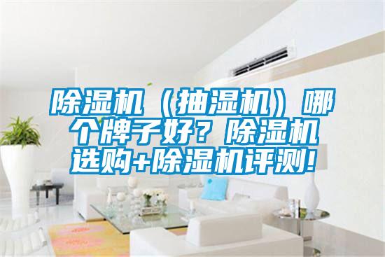 除濕機(jī)(抽濕機(jī))哪個牌子好?除濕機(jī)選購+除濕機(jī)評測!