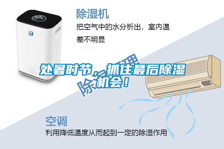 處暑時節，抓住最后除濕機會！