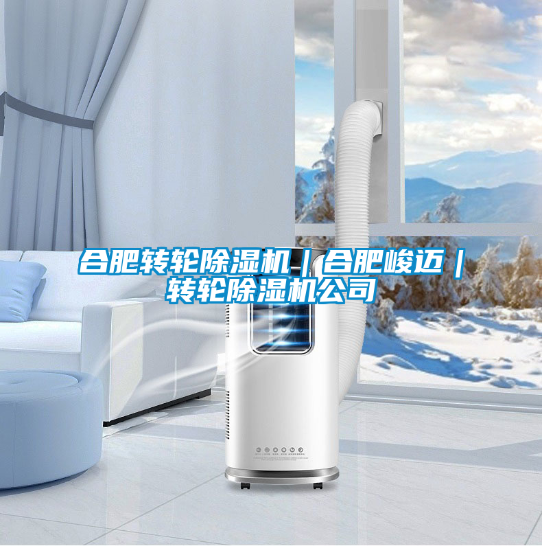 合肥轉輪除濕機|合肥峻邁|轉輪除濕機公司