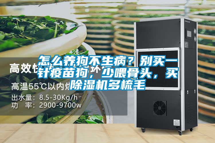 怎么養(yǎng)狗不生?。縿e買一針疫苗狗，少喂骨頭，買除濕機(jī)多梳毛